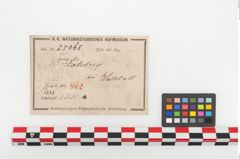 Etiketten zu Eisenschaftlappenbeil (NHMW-PRAE-025068)